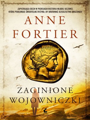 Zaginione wojowniczki - ebook
